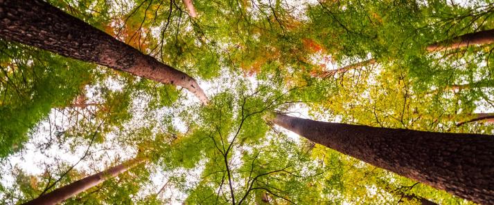 Les métiers du développement durable